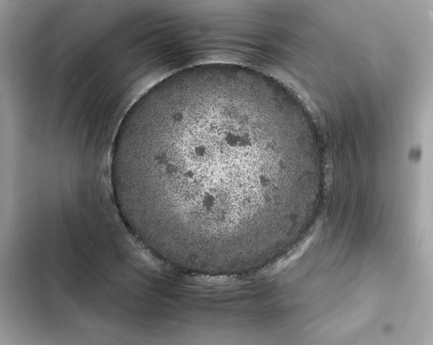 X0000102381121200808151851