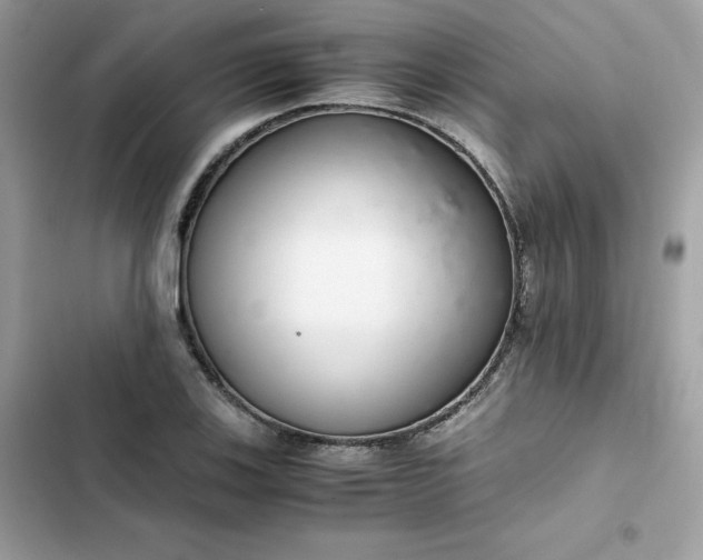 X0000102381123200808151851