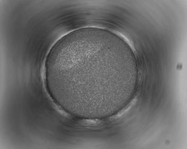 X0000102381125200808151851