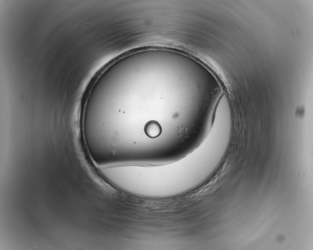 X0000102381128200808151851