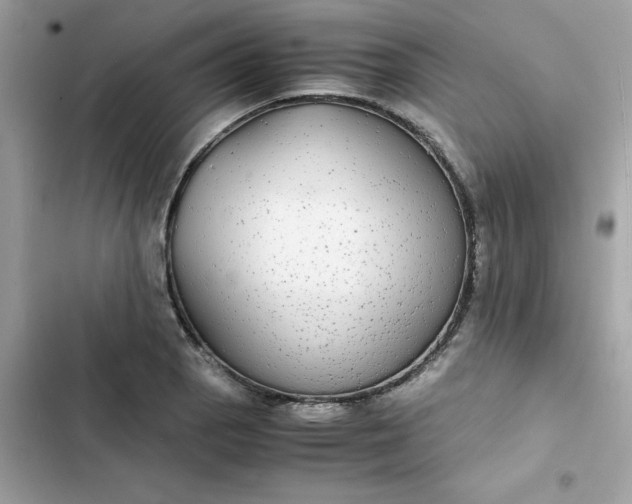 X0000102381129200808151852