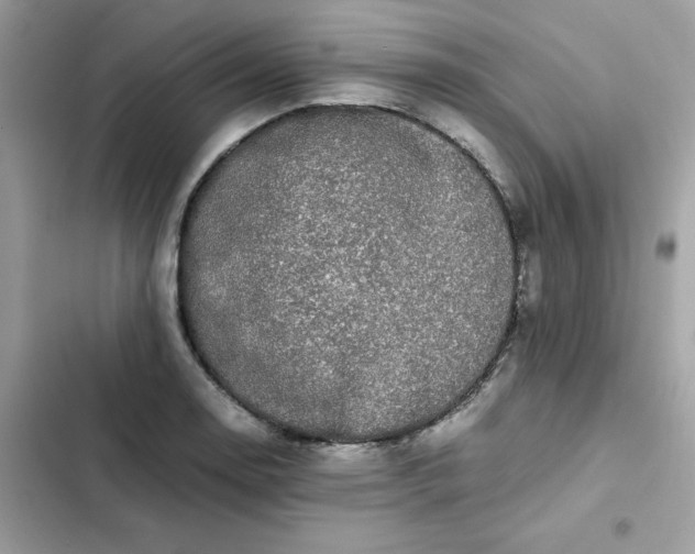 X0000102381130200808151852