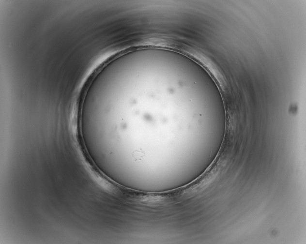 X0000102381131200808151852