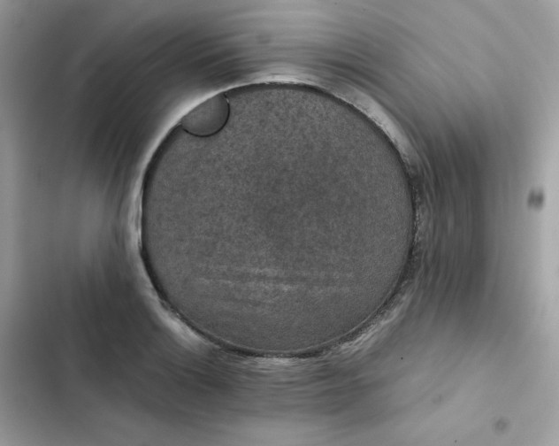 X0000102381132200808151852