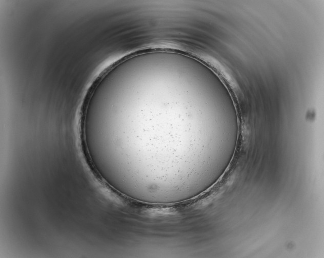 X0000102381133200808151852