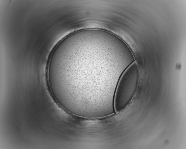 X0000102381134200808151852