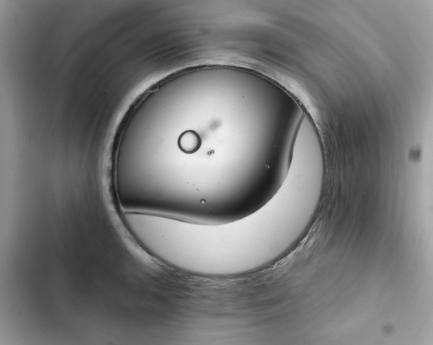 X0000102381136200808151852