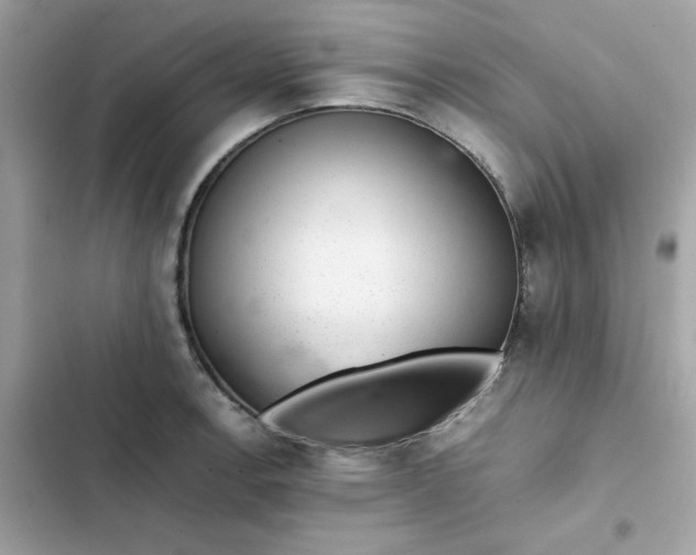 X0000102381138200808151852