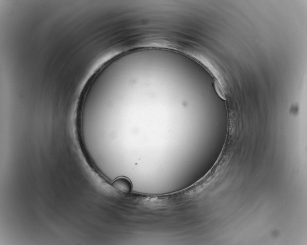 X0000102381139200808151852