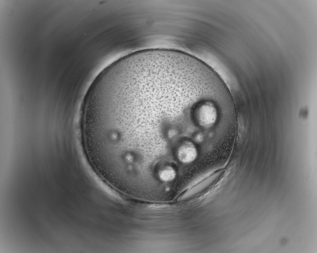 X0000102381142200808151852