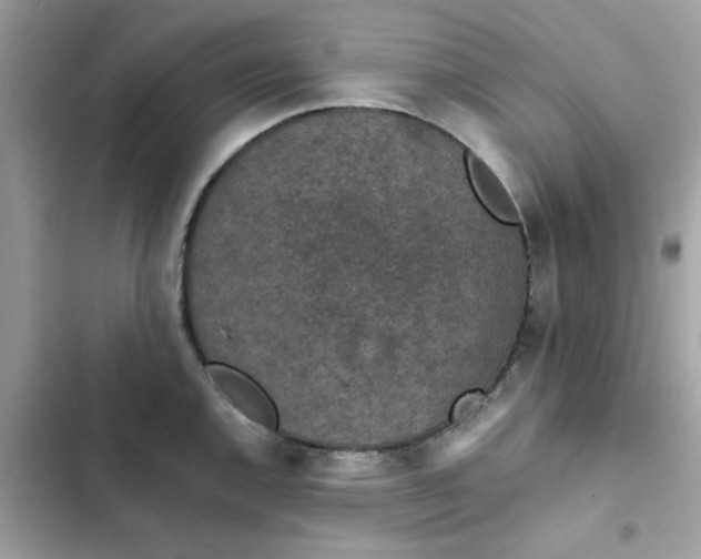 X0000102381144200808151852