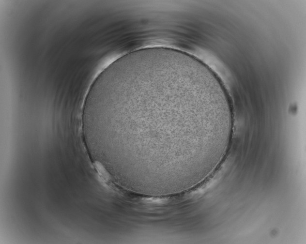 X0000102381145200808151852