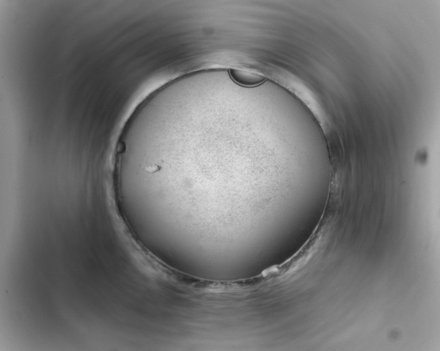 X0000102381146200808151852