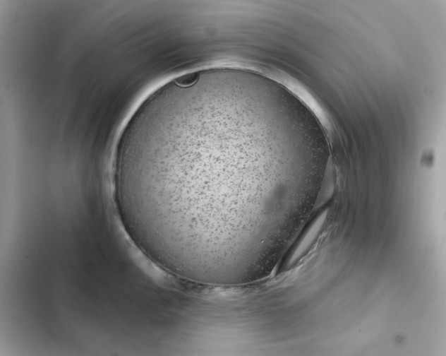 X0000102381148200808151852