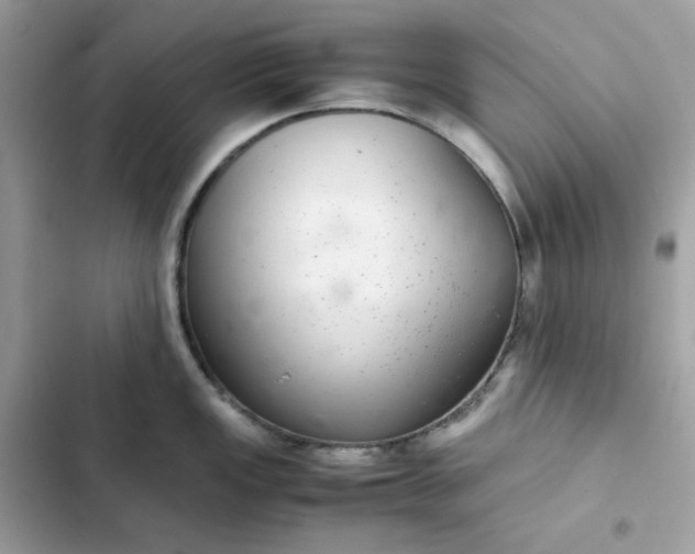 X0000102381149200808151852