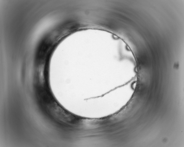 X0000102381150200808151852