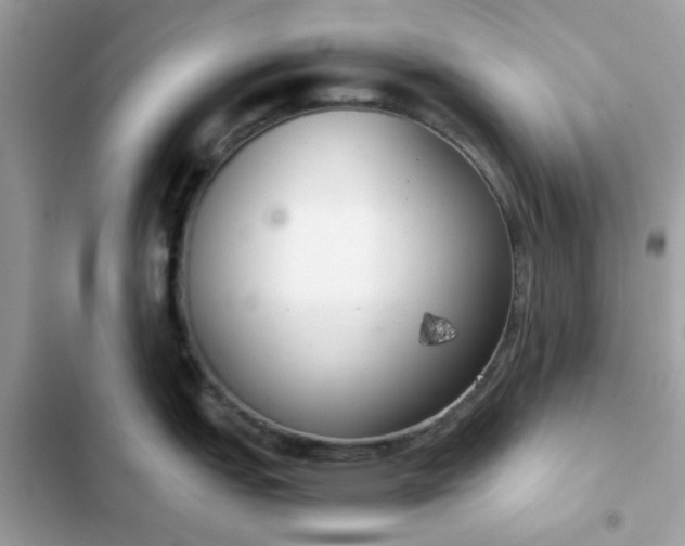 X0000102381151200808151852