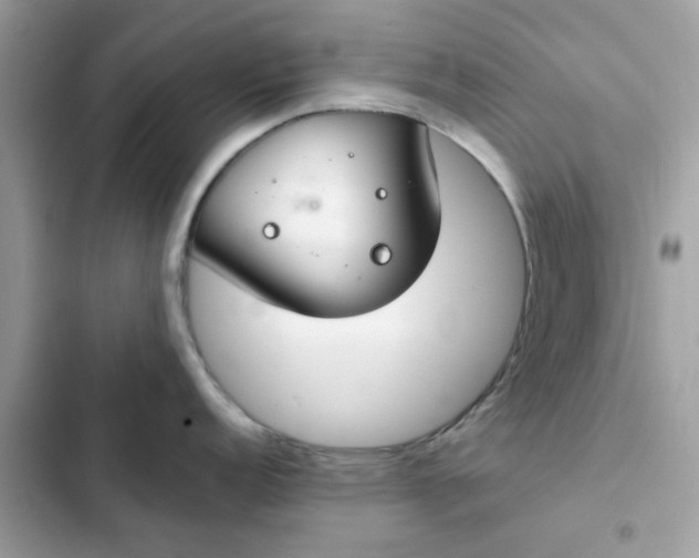 X0000102381152200808151852