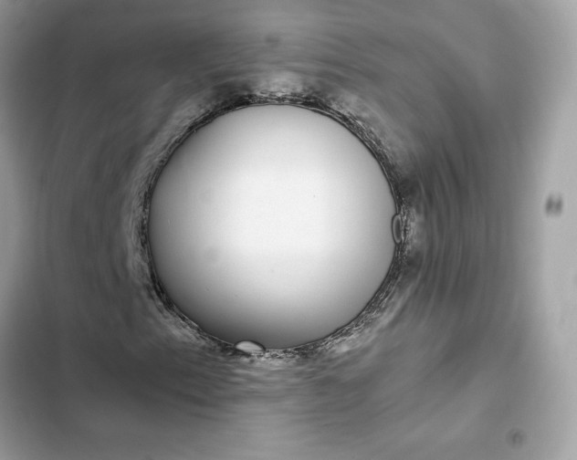 X0000102381153200808151851