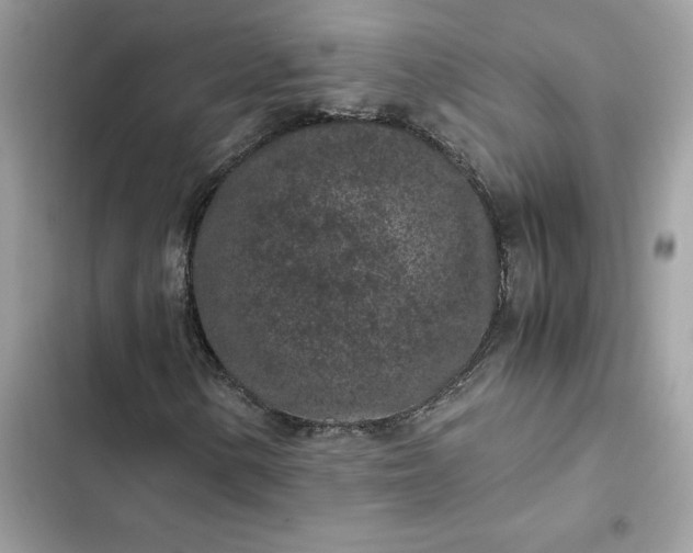 X0000102381154200808151851