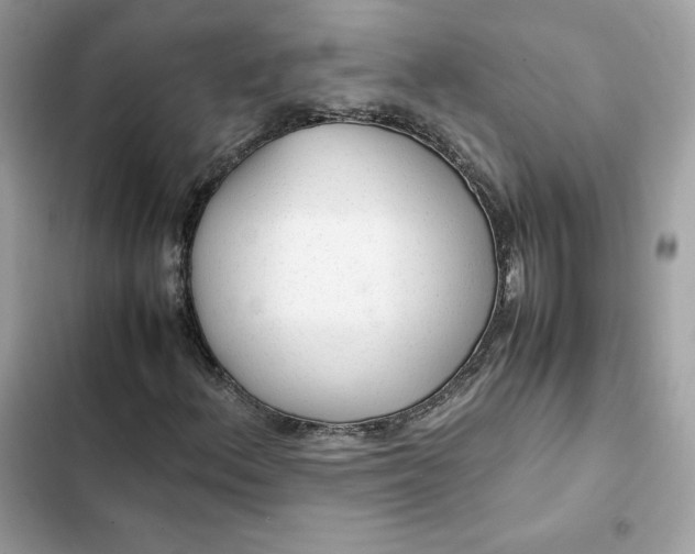 X0000102381156200808151851