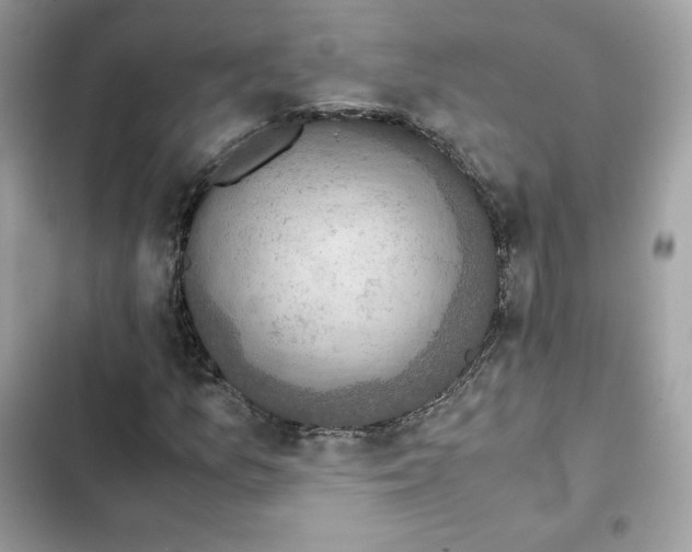 X0000102381157200808151851