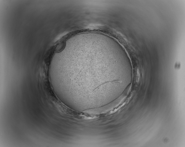 X0000102381158200808151851