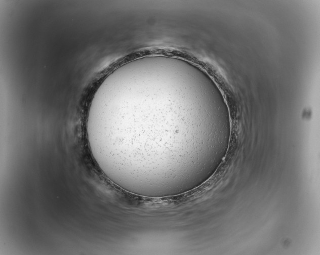 X0000102381159200808151851