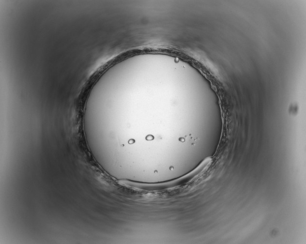 X0000102381160200808151851