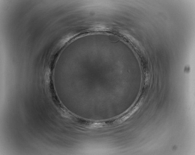 X0000102381161200808151851