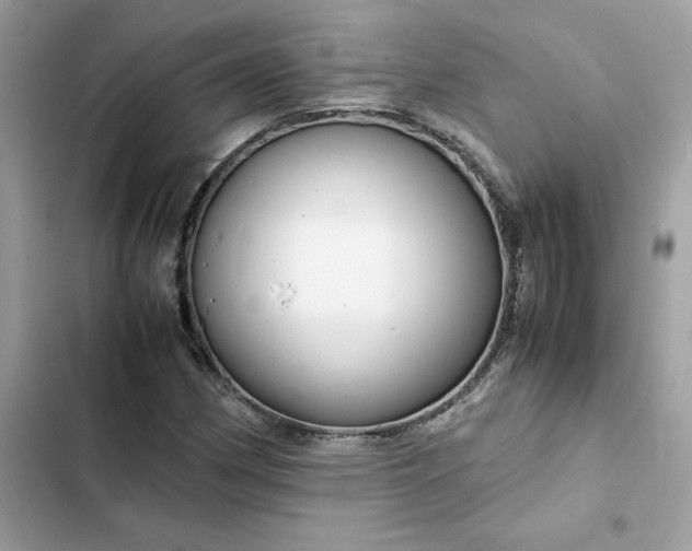 X0000102381162200808151851