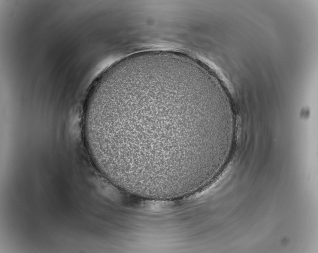 X0000102381163200808151851