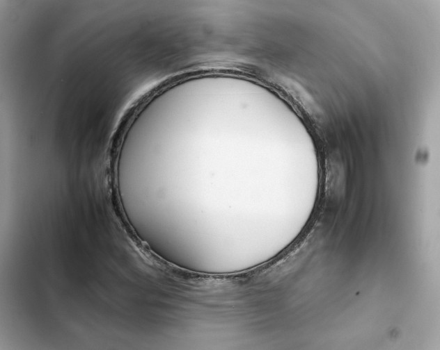 X0000102381164200808151851