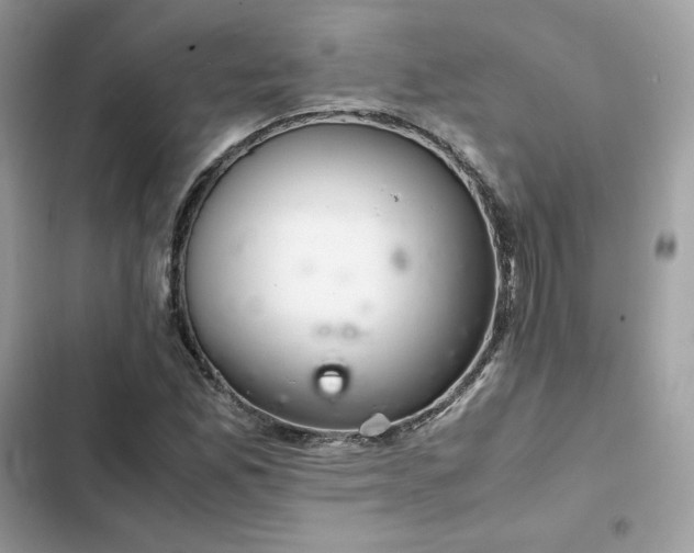 X0000102381165200808151851