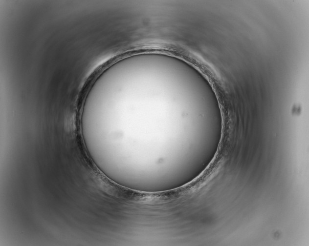 X0000102381166200808151851