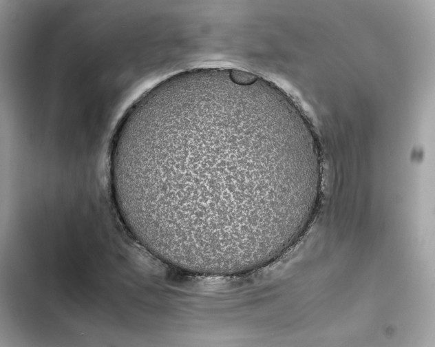 X0000102381167200808151851