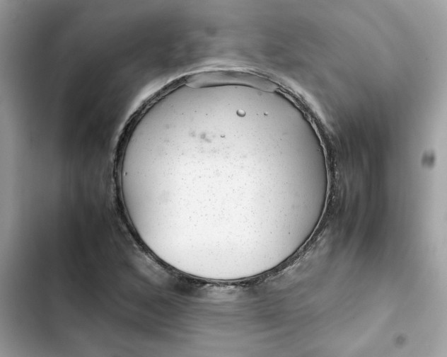 X0000102381168200808151851