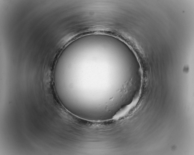 X0000102381169200808151851