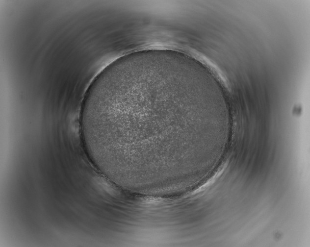 X0000102381170200808151851