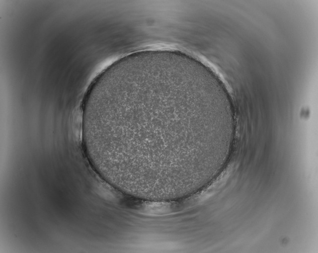 X0000102381171200808151851