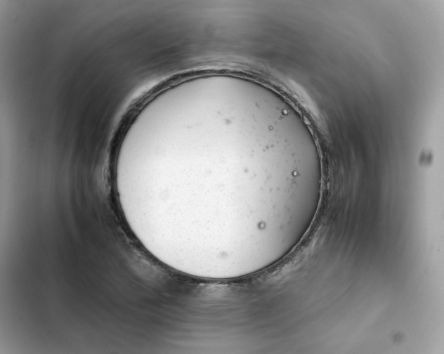 X0000102381172200808151851