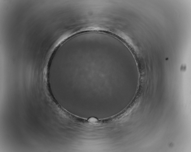 X0000102381173200808151851