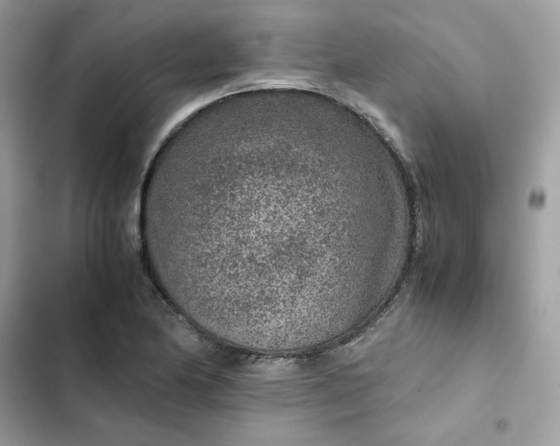 X0000102381174200808151851