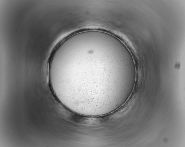 X0000102381175200808151851