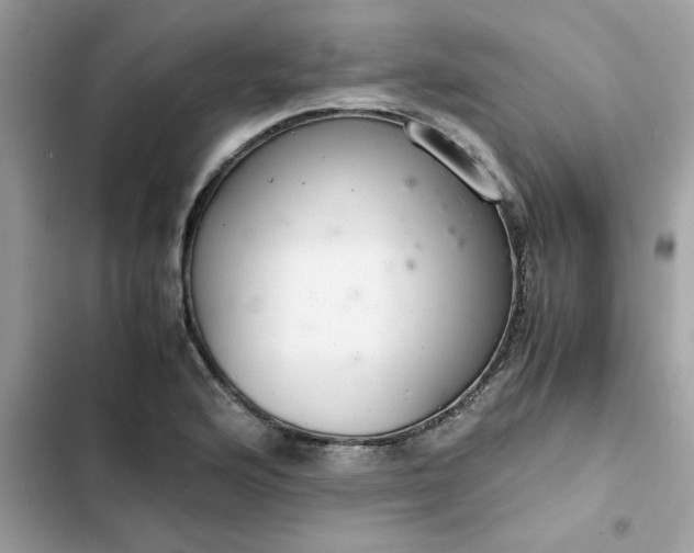 X0000102381176200808151851