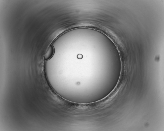 X0000102381177200808151851