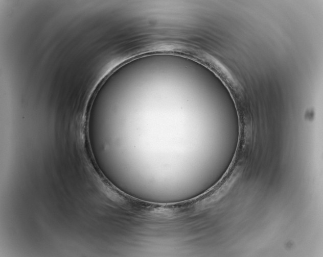 X0000102381178200808151851