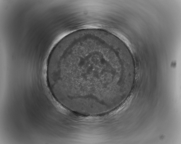 X0000102381179200808151851