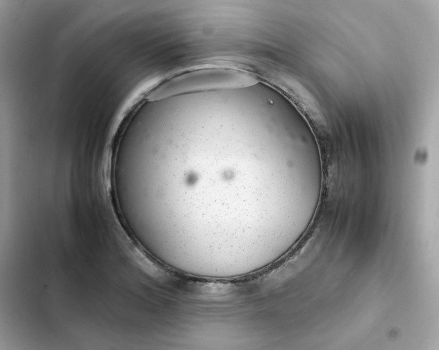 X0000102381180200808151851