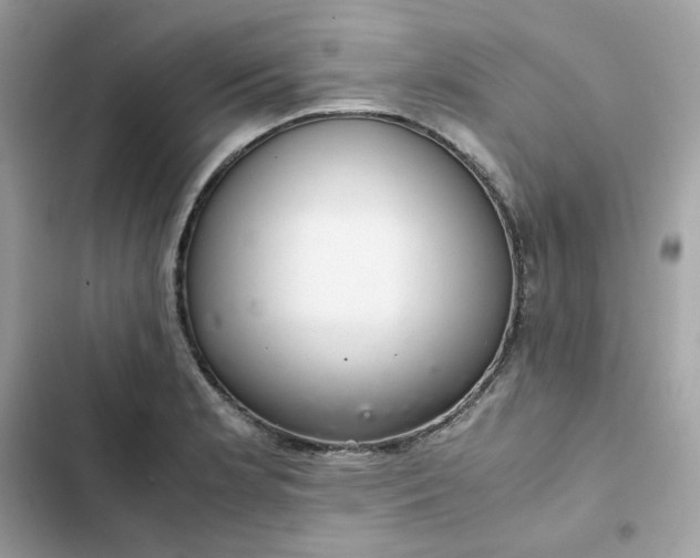 X0000102381181200808151851